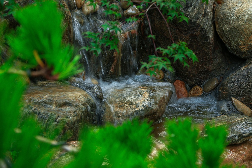 景觀設(shè)計(jì).jpg