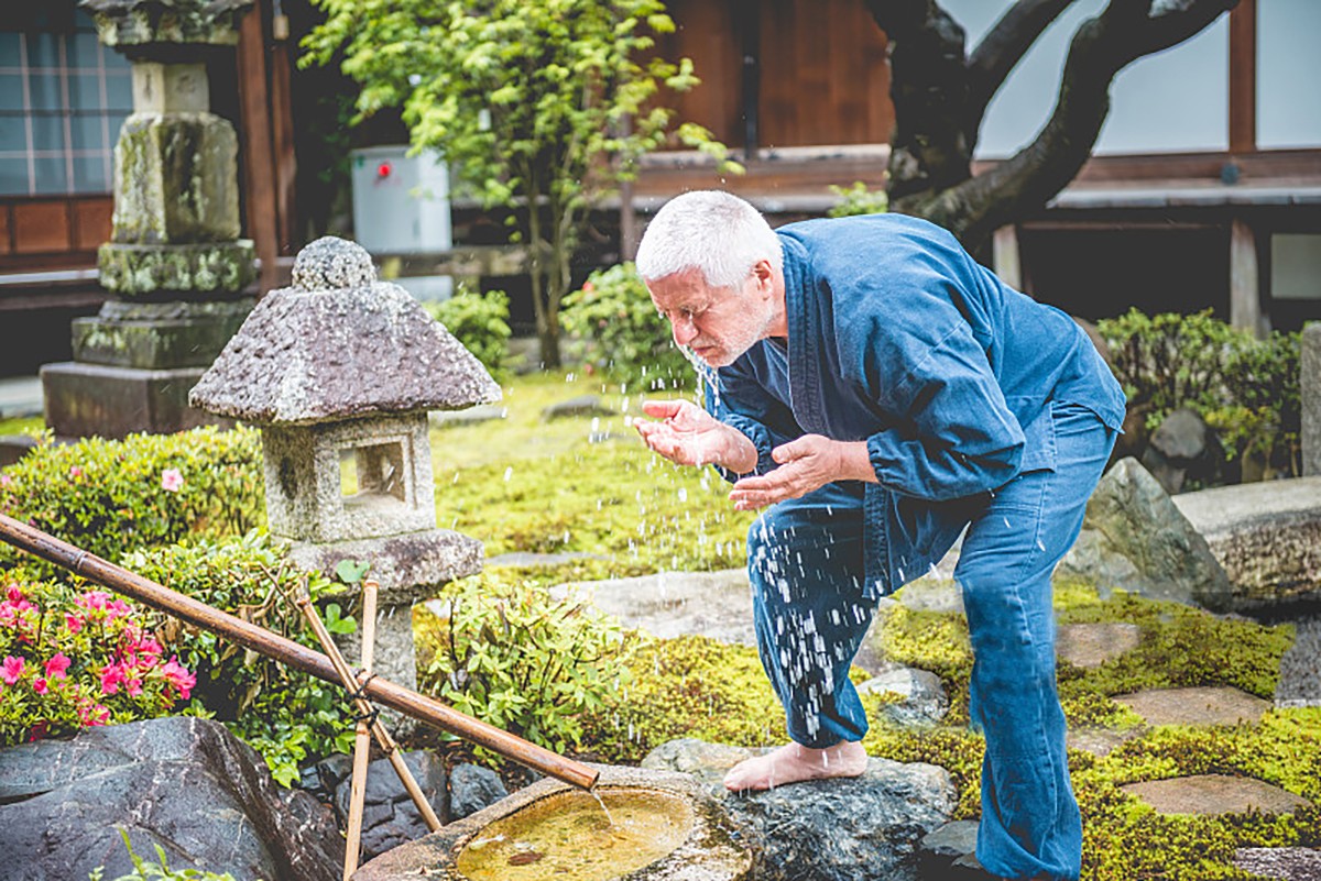 造園及養(yǎng)護(hù).jpg